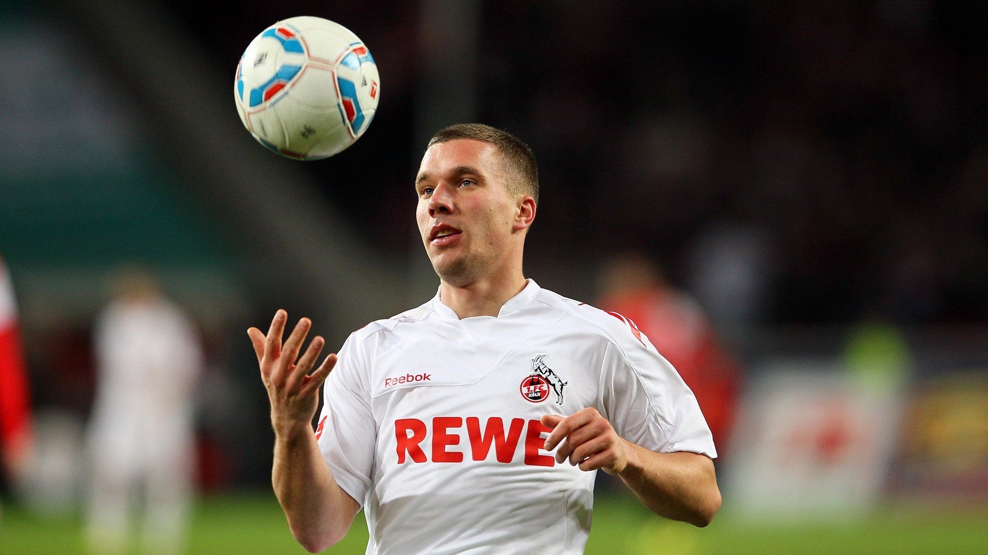 粉丝互动盛典：车迷见证冠军荣耀时刻，车是谁的粉丝名